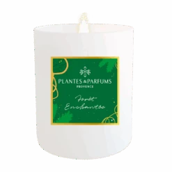 Bougie Végétale Forêt Enchantée 180g