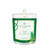 Bougie Végétale Forêt Enchantée 75g