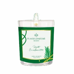 Bougie Végétale Forêt Enchantée 75g