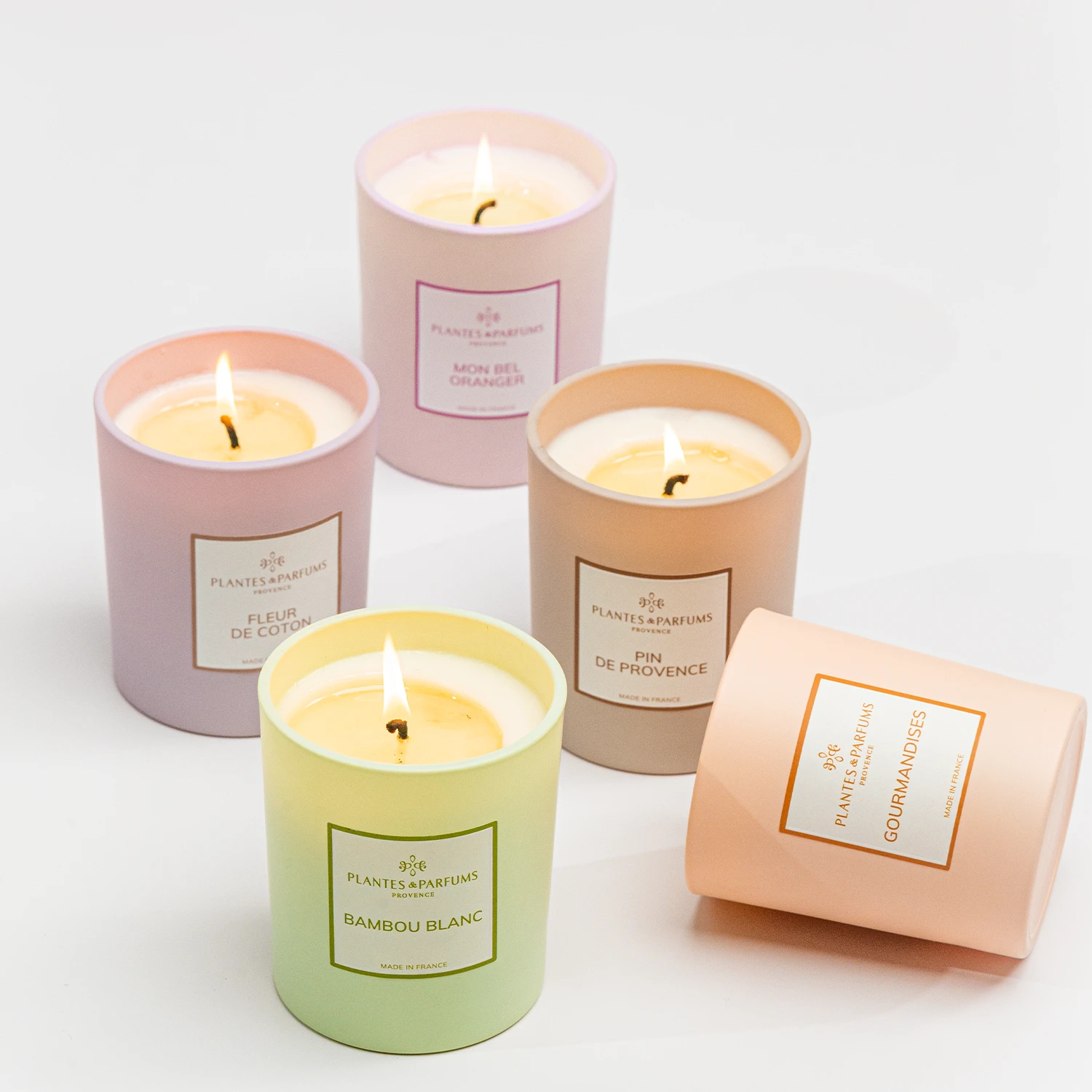 Bougie Végétale Diva Camélia 180g – Image 2