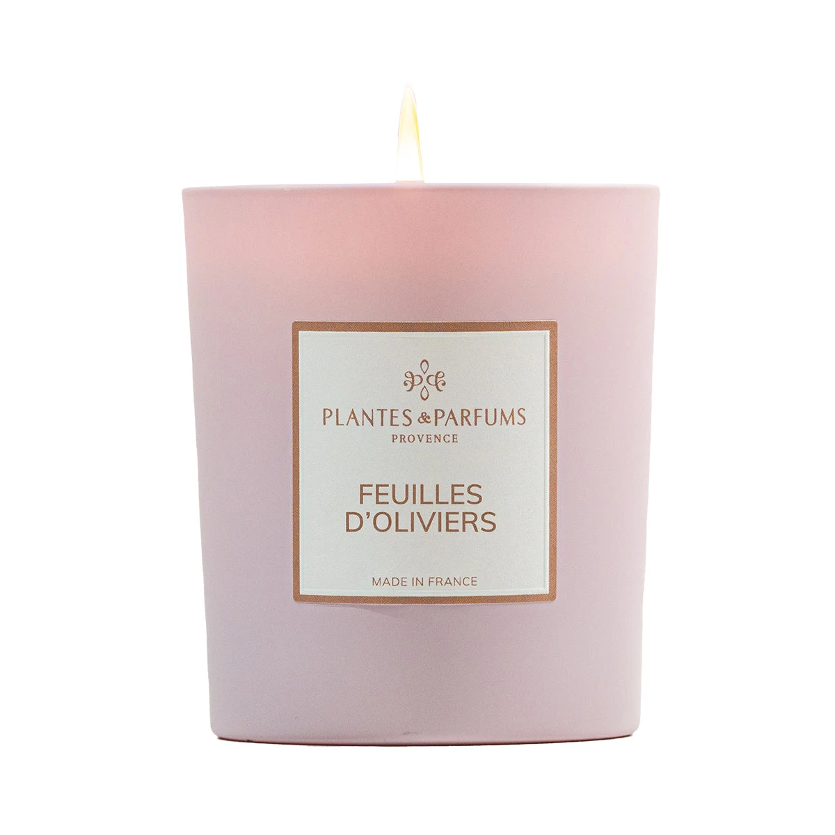 Bougie Végétale Feuilles D'Oliviers 180g