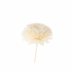 Fleur Pour Diffusion Parfumée