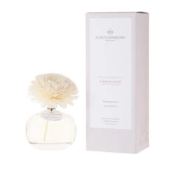 Fleur Parfumée Fleur De Coton