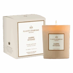 Bougie Végétale Ambre Intense 180g Avec étui